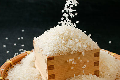 Rice and Mochi